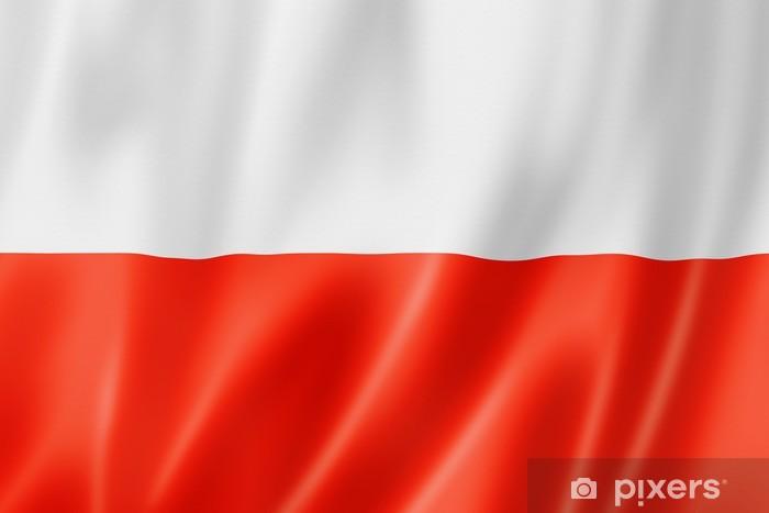 Polonya Vize İşlemleri